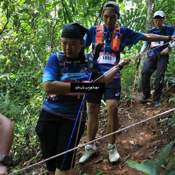 Runner Photo 5504711