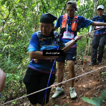 Runner Photo 5504713