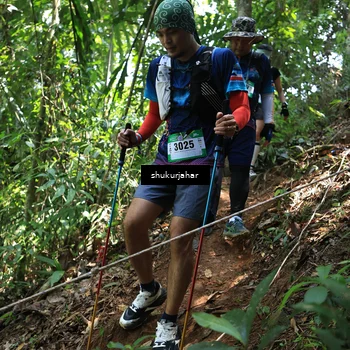Runner Photo 5504776