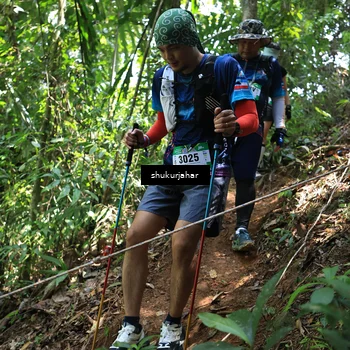 Runner Photo 5504777