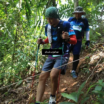 Runner Photo 5504778
