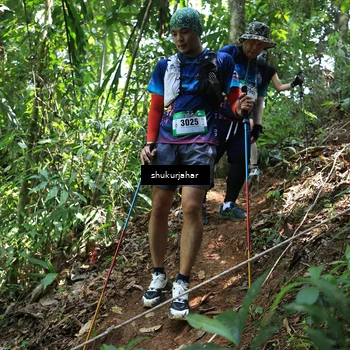 Runner Photo 5504779