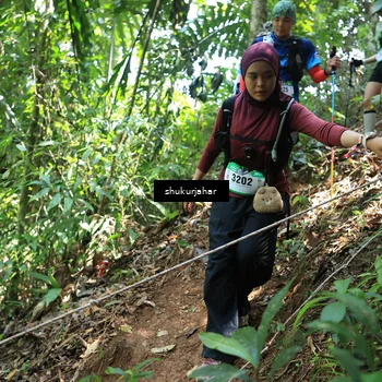 Runner Photo 5504784