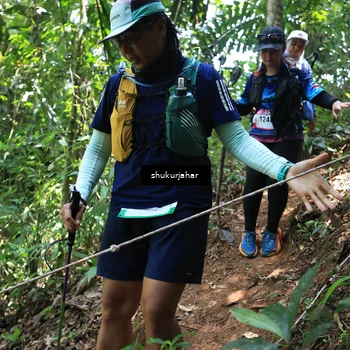Runner Photo 5504822