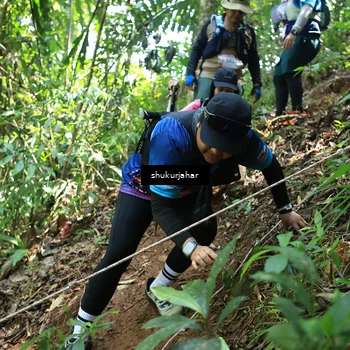 Runner Photo 5504864