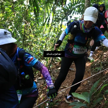 Runner Photo 5504874