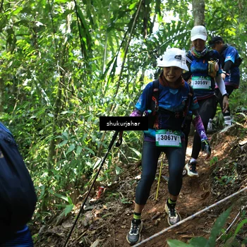 Runner Photo 5504880