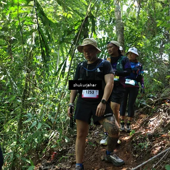 Runner Photo 5504885