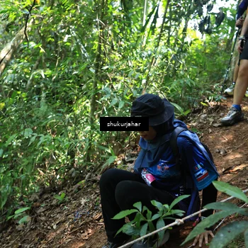 Runner Photo 5504888