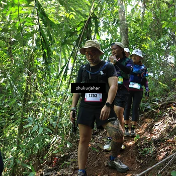 Runner Photo 5504889