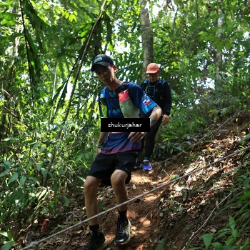 Runner Photo 5504918