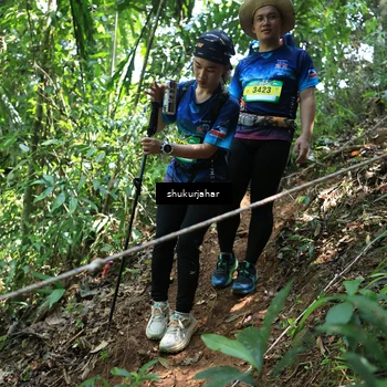 Runner Photo 5504919