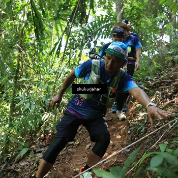 Runner Photo 5504921