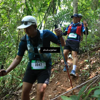 Runner Photo 5504934