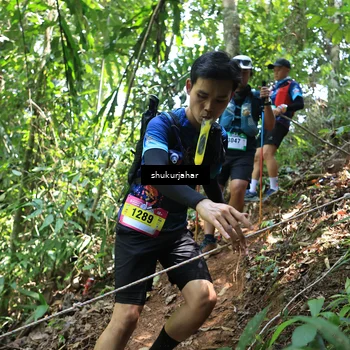 Runner Photo 5504941