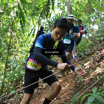 Runner Photo 5504946