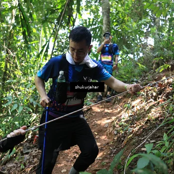 Runner Photo 5504997