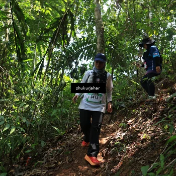 Runner Photo 5505104