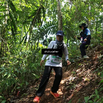 Runner Photo 5505107
