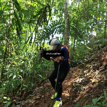 Runner Photo 5505117