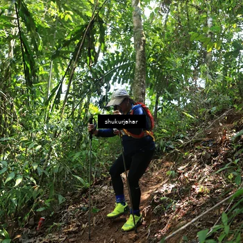 Runner Photo 5505120