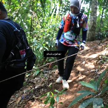 Runner Photo 5505163