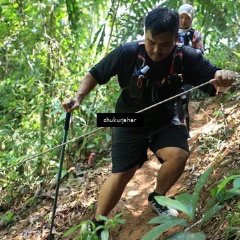 Runner Photo 5505165
