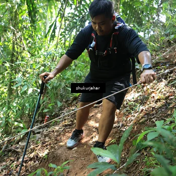 Runner Photo 5505169