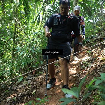 Runner Photo 5505172