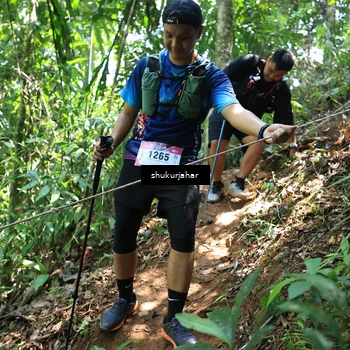 Runner Photo 5505178