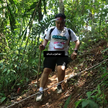 Runner Photo 5505266