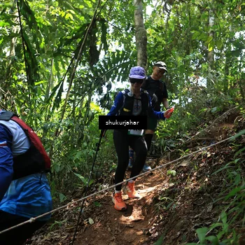 Runner Photo 5505296