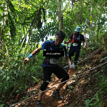 Runner Photo 5505318