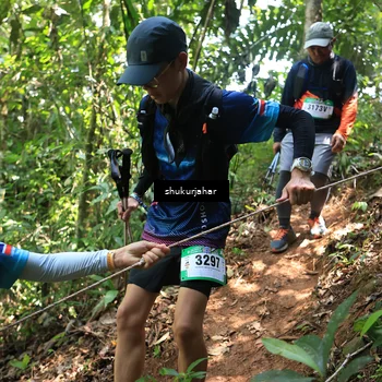 Runner Photo 5505333