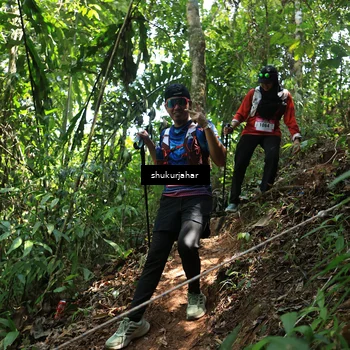 Runner Photo 5505414