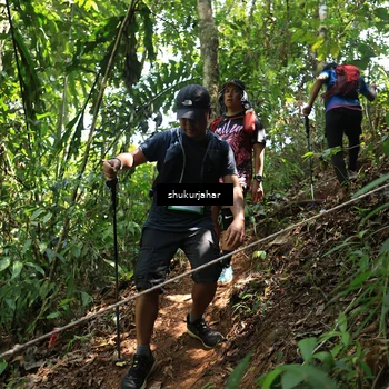 Runner Photo 5505423