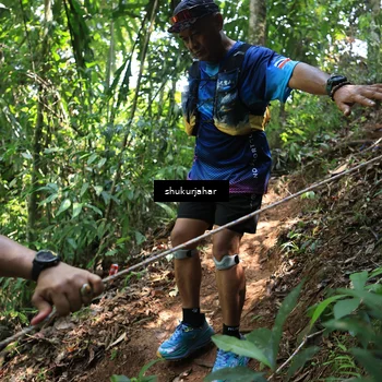 Runner Photo 5505461