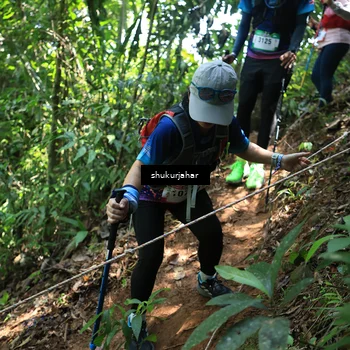 Runner Photo 5505493