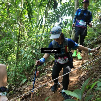 Runner Photo 5505499