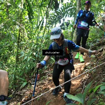 Runner Photo 5505500