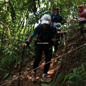 Runner Photo 5505516