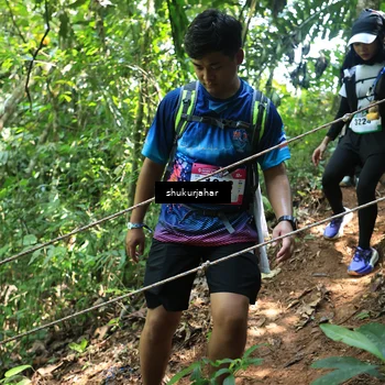 Runner Photo 5505569