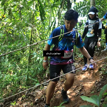 Runner Photo 5505571