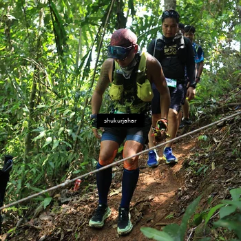 Runner Photo 5505600