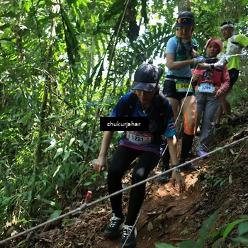 Runner Photo 5505651