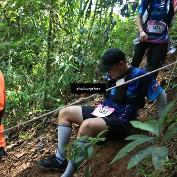 Runner Photo 5505656