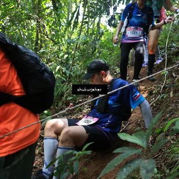Runner Photo 5505657