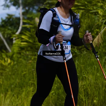 Runner Photo 5505742