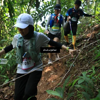Runner Photo 5505752