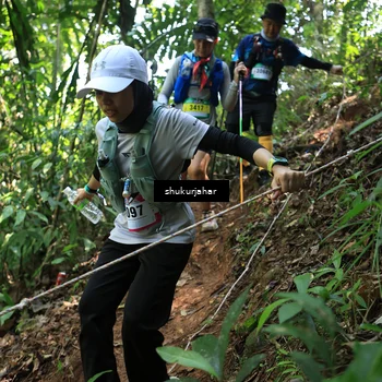 Runner Photo 5505757